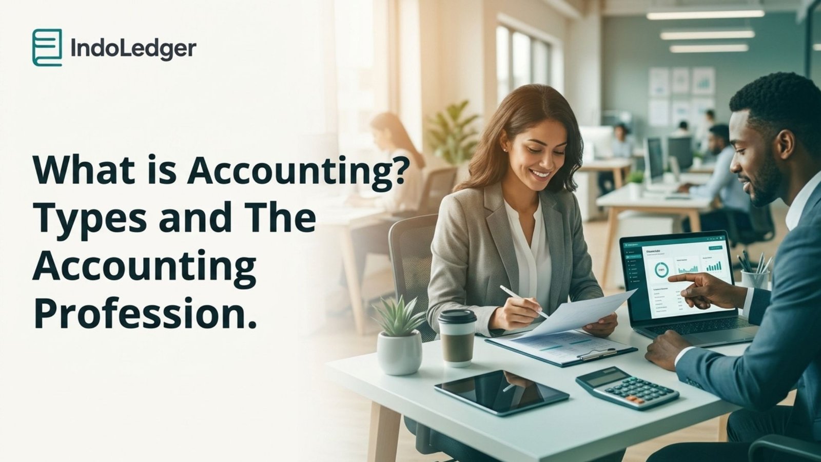 What is Accounting Types and The Accounting Profession